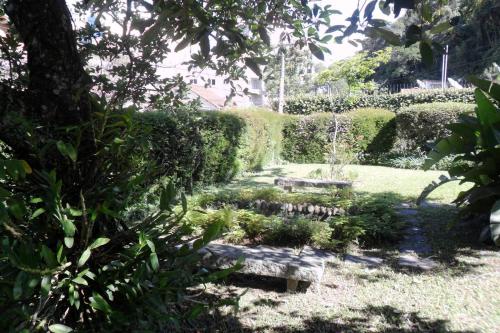 a garden with a bench and trees and bushes at Muqui 91 Guesthouse in Teresópolis