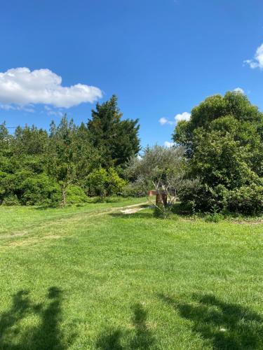 un champ herbeux avec des arbres en arrière-plan dans l'établissement Chalet chez habitant, à Barbentane