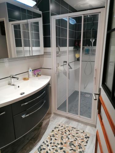 une salle de bain avec douche et lavabo dans l'établissement chambre d'hôte 50, rue Gambetta à Libourne, à Libourne