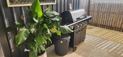 a plant in a pot next to a tv at Beach Shed with Pizza Oven in Toogoom
