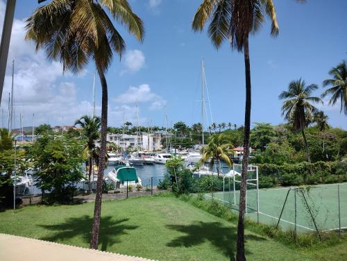 un parque con palmeras y un puerto deportivo con barcos en Charmant T1 avec vue sur marina, en Les Trois-Îlets