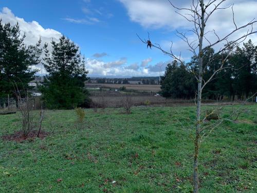 a bird perched on top of a tree in a field at Casa de campo con tinaja en Los Ángeles in Los Ángeles