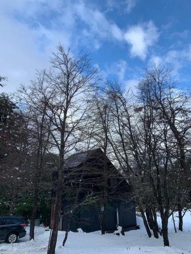 a house in the snow with trees at Casa Hagall Refugio de Montaña in Malalcahuello