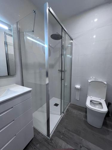 a white bathroom with a shower and a toilet at Habitación turística en Irún in Irún