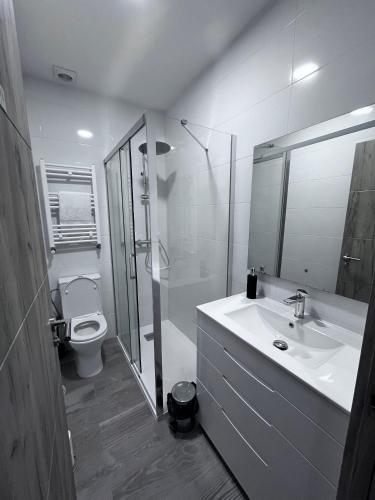 a bathroom with a sink and a shower and a toilet at Habitación turística en Irún in Irún