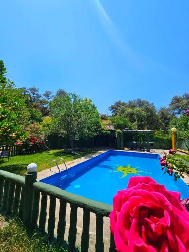 a small swimming pool with a pink flower next to it at Finca rural Labriega del hueznar in Cazalla de la Sierra