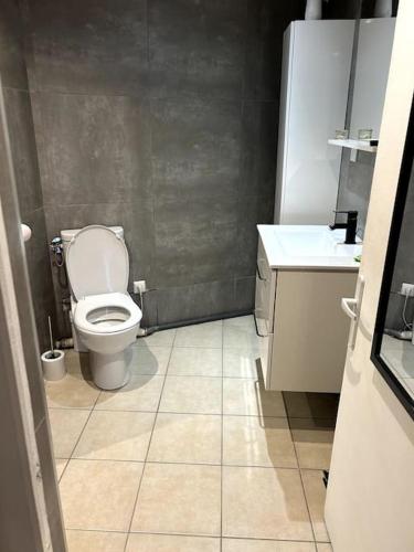 une petite salle de bain avec toilettes et lavabo dans l'établissement Charmant studio avec mezzanine, à Nice