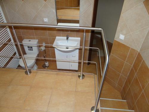 a bathroom with a toilet and a sink at Penzion 324 in Štoky