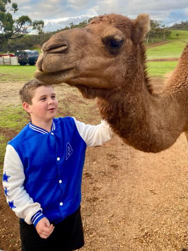 a young boy standing next to a camel at Sandalwood Downs Fabulous Farm Stay TOODYAY in Toodyay