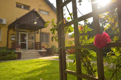 a view of a house through a fence with a red rose at Vizafogó Panzió és Étterem in Baja