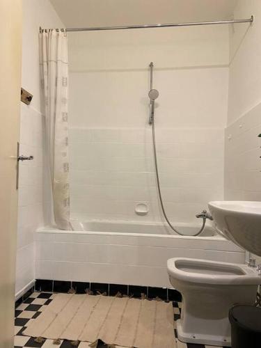 une salle de bain avec une douche, des toilettes et un lavabo dans l'établissement Charismatique Orangerie-10min Parlement EU-WiFi-TV, à Strasbourg