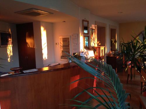 a lobby with a reception desk and a plant at Casa Magnani in Verona