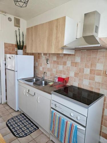 une cuisine avec un évier et un réfrigérateur blanc dans l'établissement Superbe appartement avec parking privatif, à Cahors