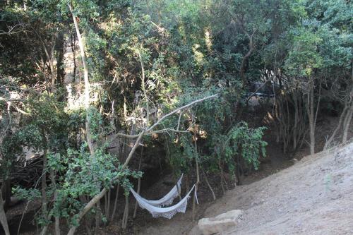a hammock hanging from trees on the side of a hill at Glamping de Matanzas in Matanzas