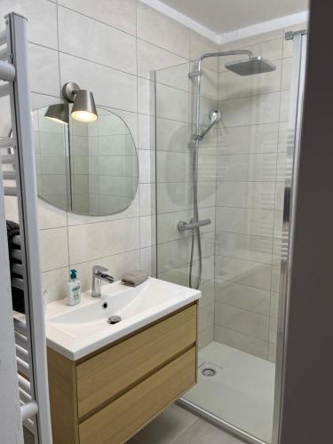 une salle de bain avec un lavabo et une douche dans l'établissement Charmant 2 pièces proche de Cannes, à Mandelieu-la-Napoule