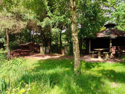 a picnic shelter with a picnic table in the woods at Emily's Garden in Lintrup