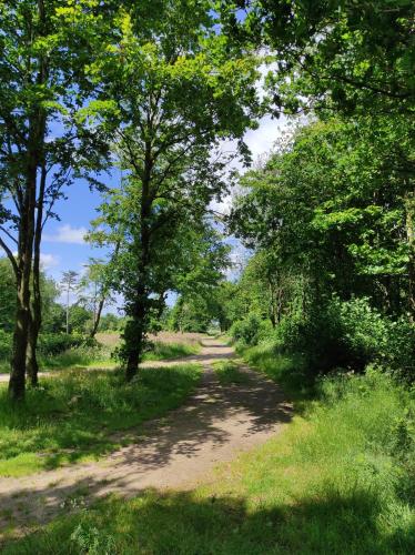 a dirt road with trees on both sides at Emily's Garden in Lintrup