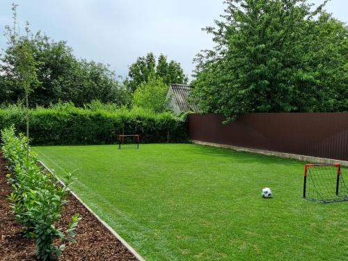 a yard with a soccer ball on the grass at Villa V53 Siófok in Siófok