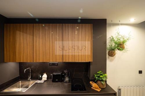a kitchen with a sink and a counter top at El Bosque Del Puerto in Gijón
