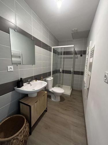 a bathroom with a sink and a toilet and a shower at Le Grand RepublicainT2 in Le Péage-de-Roussillon