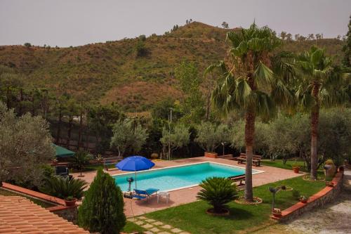 a pool with a palm tree and a mountain at Tenuta Severino in Santa Caterina Dello Ionio Marina