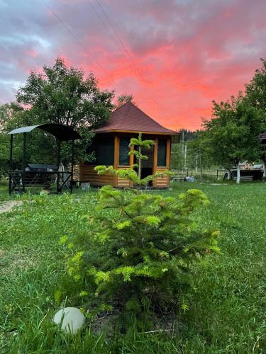a small house in a field with a tree at Садиба Карпат in Verkhovyna