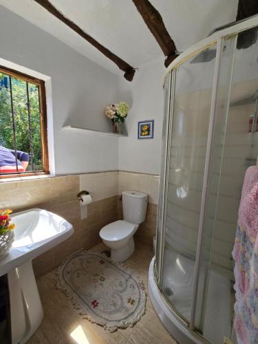 ein Badezimmer mit Dusche, Toilette und Waschbecken in der Unterkunft Corias Casona junto al Narcea in Corias