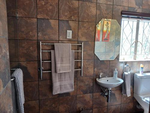 a bathroom with a sink and a toilet and a mirror at Blue Sky Manor in Roodekrans