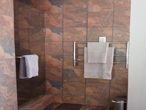 a bathroom with a shower with brown tiles at Blue Sky Manor in Roodekrans