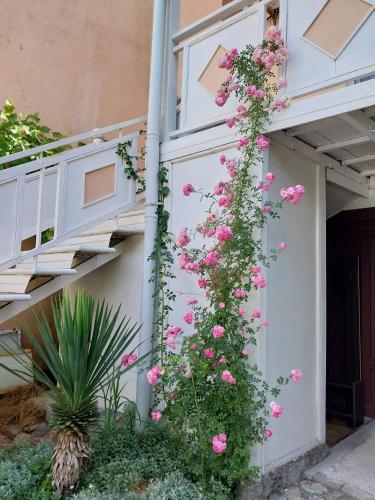 a bunch of pink roses climbing up the side of a building at Sighnaghi Central in Sighnaghi