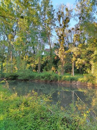 une masse d'eau avec des arbres à l'arrière-plan dans l'établissement Gîte au coeur d'un vignoble, à Saint-Aignan