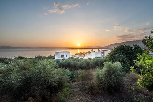 Φωτογραφία από το άλμπουμ του Armonia Kalamata στην Καλαμάτα