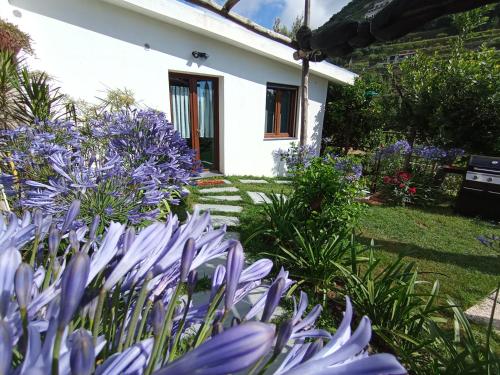 Ein Garten an der Unterkunft Casa Mia
