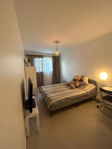 The Olympic stay in host Female guests only