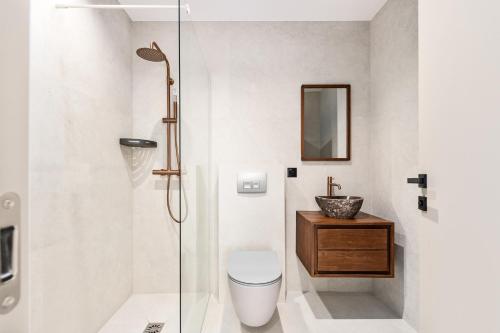 une salle de bain avec une douche, des toilettes et un lavabo dans l'établissement L'OREE DU CAP-Somptueux 2 pièces- Garage- Terrasse, à Roquebrune-Cap-Martin