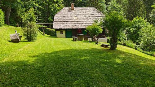 Κήπος έξω από το Cosy & peaceful cabin off the grid