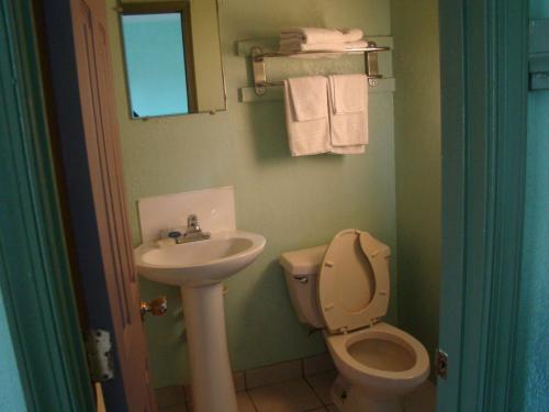 een badkamer met een toilet en een wastafel bij Budget Inn Mount Airy in Mount Airy