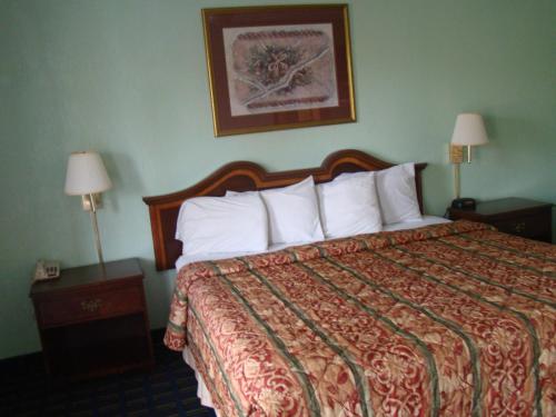 een hotelkamer met een bed en twee nachtkastjes met lampen bij Budget Inn Mount Airy in Mount Airy