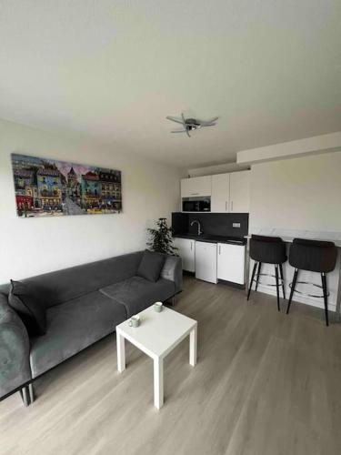 un salon avec un canapé et une table dans l'établissement Studio centre Saint-Louis Gare Tramway Bus, à Saint-Louis