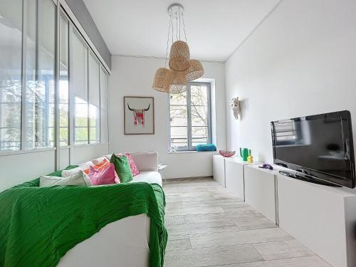 a living room with a couch and a tv at Appartement centre historique in Mulhouse