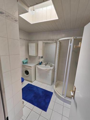 a bathroom with a shower sink and a washing machine at Komplette Wohnung, ruhig gelegen in Braunschweig