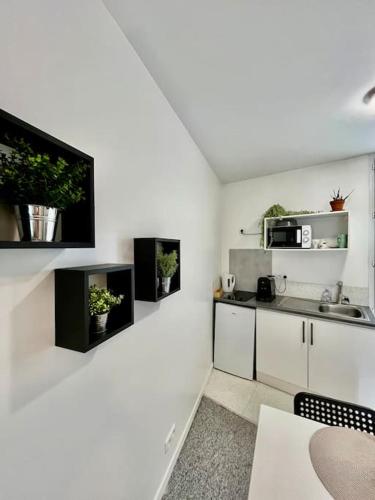 une cuisine avec des murs blancs, des armoires et des plantes blanches dans l'établissement Studio 3 Rue Théodore Bac - DABNB, à Limoges