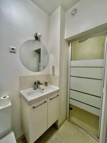 une salle de bain avec un lavabo, un miroir et une douche dans l'établissement Studio 3 Rue Théodore Bac - DABNB, à Limoges