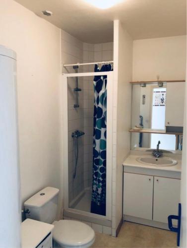 une salle de bain avec une douche, des toilettes et un lavabo dans l'établissement Appartement Stella Plage, à Cucq