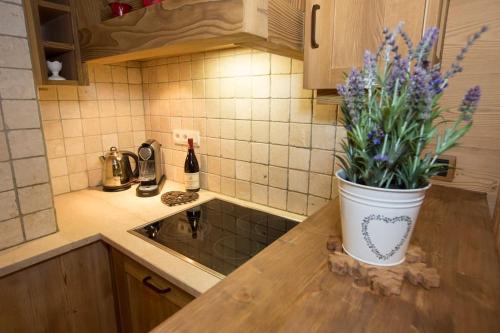 une cuisine avec une plante en pot sur un comptoir dans l'établissement L'Aquila 23 - 2 bedroom apartment on the piste, à Val dʼIsère