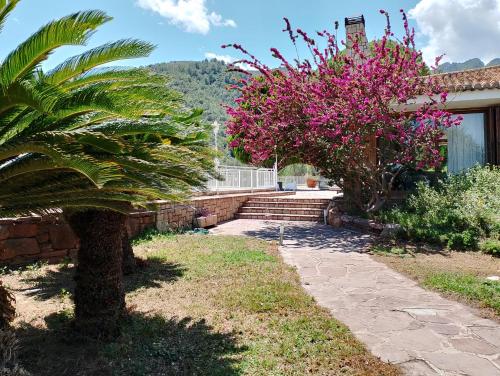 a palm tree next to a house with pink flowers at Villa Montgrau in Llano de Gorra
