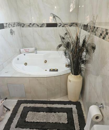 a bathroom with a bath tub with a potted plant at The Royal Princess B&B on Malibongwe Drive in Johannesburg
