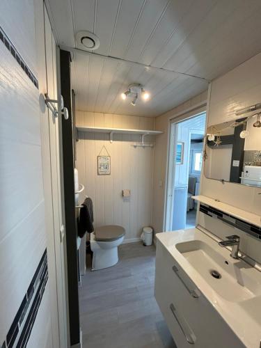 a bathroom with a sink and a toilet at Maison MAHECO in Gujan-Mestras