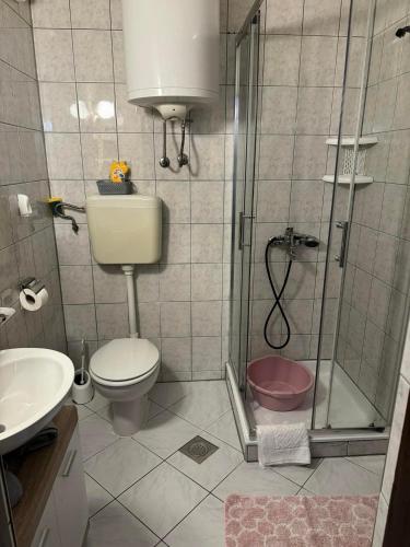 a bathroom with a shower and a toilet and a sink at Apartment Teo & Leon in Novi Vinodolski