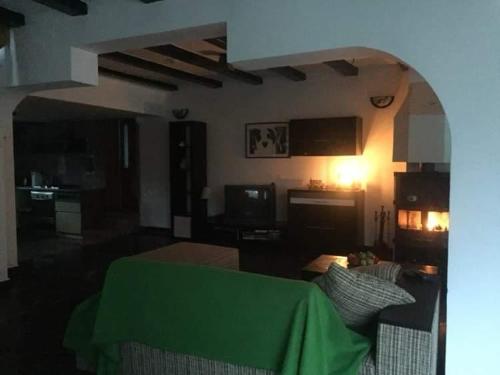 a living room with a green table and a couch at Casa Din Deal in Podişu